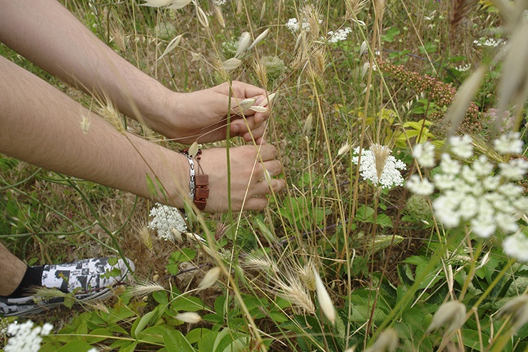 Il giardino delle parole